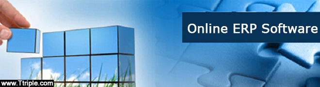 Online ERP Software Development in Bhopal Online ERP Software Development in Bhopal