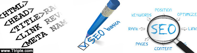 SEO Service in Bhopal SEO Service in Bhopal
